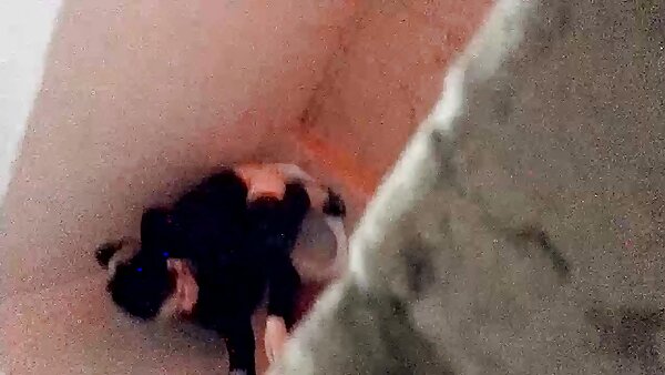 رائع شقراء فاتنة Angel Vain لديها كبير الثدي سكس عربي اجنبي مترجم ل titfuck