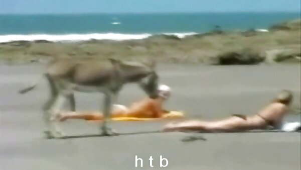 عاهرة الآسيوية جبهة تحرير سكس اجنبي مترجم عربي مورو الإسلامية يوكا واكاتسوكي يأخذ اثنين من الديكة الحلوة
